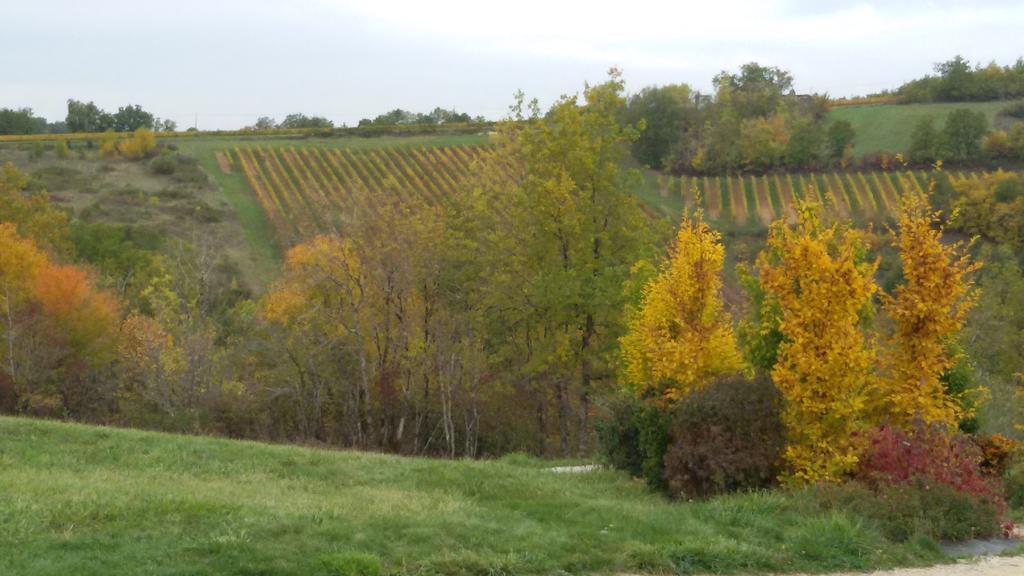 Les Hauts d'Albas Albas  Zimmer foto